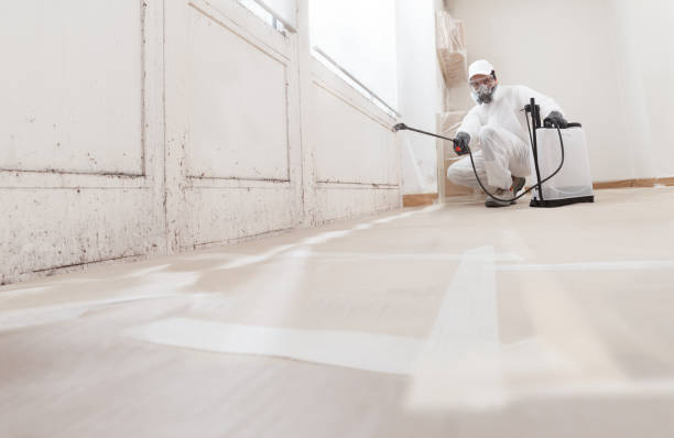 24/7 Emergency Mold Removal experts in Harleysville, PA